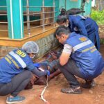 *ಪದ್ಮಶ್ರೀ ಪುರಸ್ಕೃತೆ ಸಾಲು ಮರದ ತಿಮ್ಮಕ್ಕ ನವರ ನಿಧನಕ್ಕೆ ಮುಖ್ಯಮಂತ್ರಿ ಸಂತಾಪ* *ಸರ್ಕಾರಿ ಗೌರವಗಳೊಂದಿಗೆ ಅಂತ್ಯಕ್ರಿಯೆ*