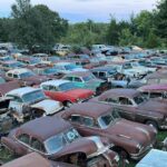 *ಪುರುಷರಕಟ್ಟೆ : ಶಾಸಕ ಅಶೋಕ್ ರೈ ಬ್ಯಾನರ್ ಗೆ ಹಾನಿ  ದೈವಕ್ಕೂ ಹರಕೆ. ಪೊಲೀಸರಿಗೆ ದೂರು*