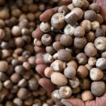 ಪೆರುವಾಯಿ: ರಸ್ತೆ ಸಂಪರ್ಕವಿಲ್ಲದ ಸ್ಥಳಕ್ಕೆ ಭೇಟಿ ನೀಡಿದ ಶಾಸಕ ಅಶೋಕ್‌ ರೈ