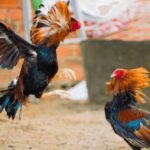 ವಿಶೇಷಚೇತನ ಮಗನಿಗೇ ವಿಷ ಹಾಕಿದ ತಂದೆ;ಕಾರಣ ಕೇಳಿದರೆ ಶಾಕ್ ಆಗ್ತೀರಾ!