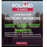 ಚಾರ್ಮಾಡಿ ಅರಣ್ಯದಲ್ಲಿ ಭಾರೀ ಪ್ರಮಾಣದ ಬೆಂಕಿ- ಹುಲ್ಲುಗಾವಲು ಭಸ್ಮ