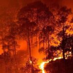 ಪೊಲೀಸ್‌ ಕೆಲಸಕ್ಕಿಂತ ಎಗ್‌ರೈಸ್‌ ಮಾರಿಕೊಂಡು ಬದುಕುವುದು ಉತ್ತಮ: ಪೇದೆ ಪೋಸ್ಟರ್‌ ವೈರಲ್‌