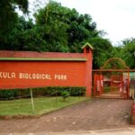 ಕೇಪುವಿನಲ್ಲಿ ಕೋಳಿ ಅಂಕ ಪ್ರಕರಣ: MLA ವಿರುದ್ಧ ಬಲವಂತದ ಕ್ರಮ ಬೇಡವೆಂದ ಹೈಕೋರ್ಟ್‌