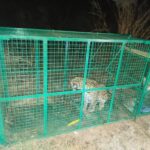 ಉಪ್ಪಿನಂಗಡಿ: ಯುವತಿ ಸ್ನಾನದ ವೀಡಿಯೋ  ವಾಟ್ಸ್‌ಆ್ಯಪ್‌ನಲ್ಲಿ ಹಂಚಿದ ಆರೋಪ- FIR