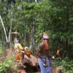 ದೈವದ ಭಂಡಾರ ಮೆರವಣಿಗೆ ವೇಳೆ ಕುಸಿದ ಕಿರು ಸೇತುವೆ: ಪಲ್ಲಕ್ಕಿ ಉರುಳಿಬಿದ್ದು ಅವಘಡ