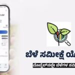 ಗಿರೀಶ್ ಭಾರದ್ವಾಜ್ ನಿಧನ: ಮುಖ್ಯಮಂತ್ರಿ ಡಿ.ಕೆ. ಶಿವಕುಮಾರ್ ತೀವ್ರ ಸಂತಾಪ
