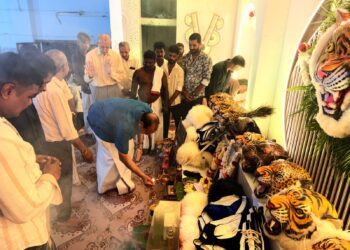 ಹುಲಿವೇಷದ ರಂಗಿನಲ್ಲಿ ಶಾಸಕ ಐವನ್ ಡಿಸೋಜ: ತಾಸೆಯ ಸದ್ದಿಗೆ ಪಕ್ಕಾ ಕರಾವಳಿ ಶೈಲಿ ಹೆಜ್ಜೆ!