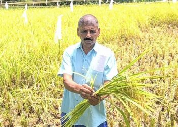 ಮಂಗಳೂರಿನಲ್ಲಿ ಸೌಹಾರ್ದತೆ ಮೆರೆಯುತ್ತಿರುವ ಗಣೇಶೋತ್ಸವ